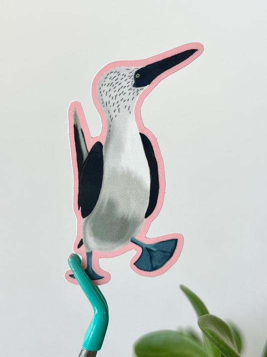 Blue Footed Booby Bird Sticker Vinyl Waterproof Decal for Kindle, Laptop, Wattle Bottle, sticker collection