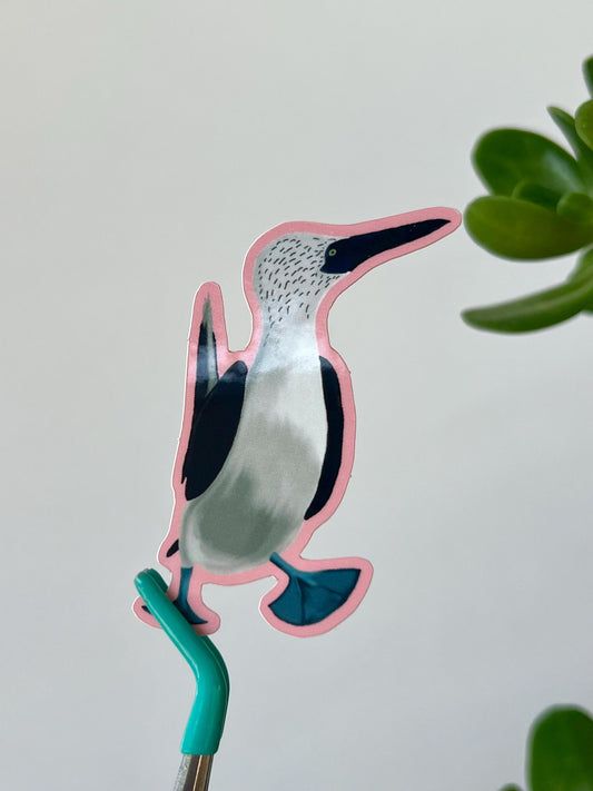 Blue Footed Booby Bird Sticker Vinyl Waterproof Decal for Kindle, Laptop, Wattle Bottle, sticker collection