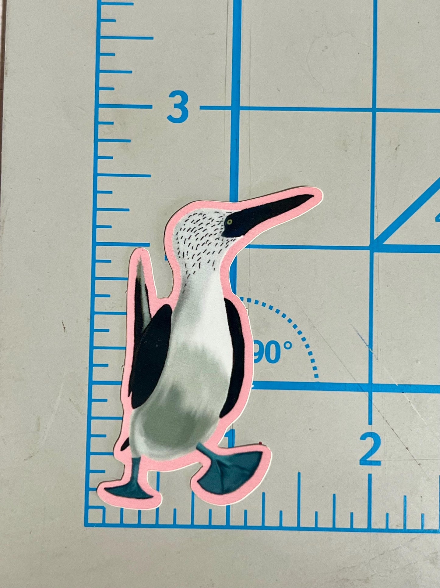 Blue Footed Booby Bird Sticker Vinyl Waterproof Decal for Kindle, Laptop, Wattle Bottle, sticker collection